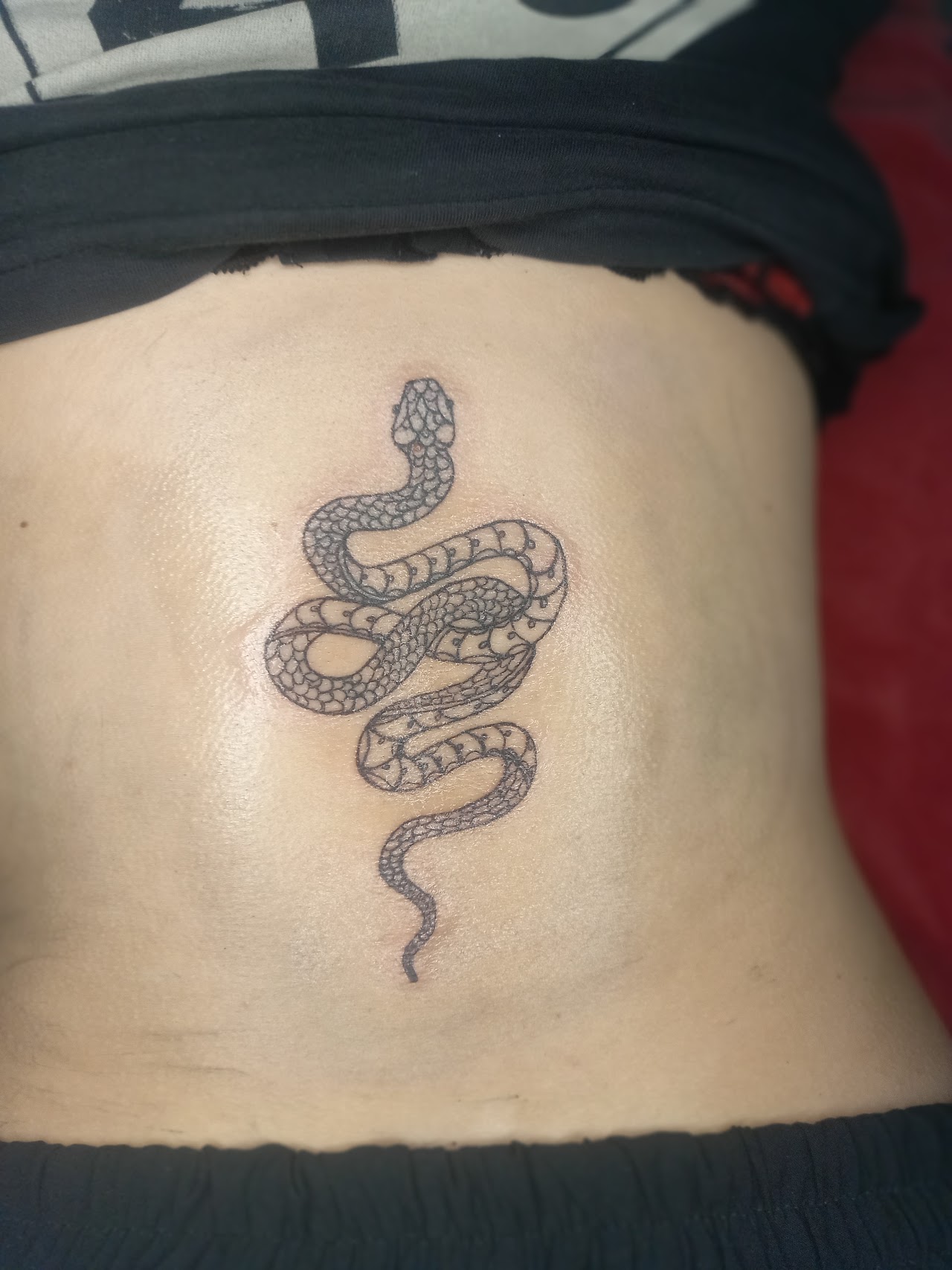 Interior del estudio Vera Ink en Bahía Blanca con sillón vintage de tatuador, carrito de instrumental estéril y cuadros de arte